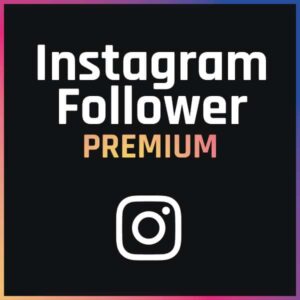 FollowerPilot Instagram Follower PREMIUM Buy