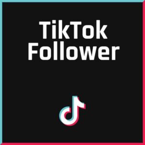 FollowerPilot 100 TikTok Follower Buy